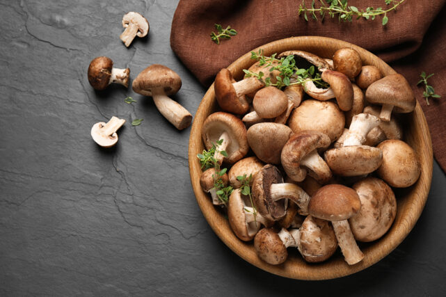 découvrez les bienfaits du café shiitake, une boisson innovante qui allie le goût du café aux propriétés santé des champignons shiitake. idéal pour booster votre énergie, renforcer votre système immunitaire et améliorer votre bien-être général.