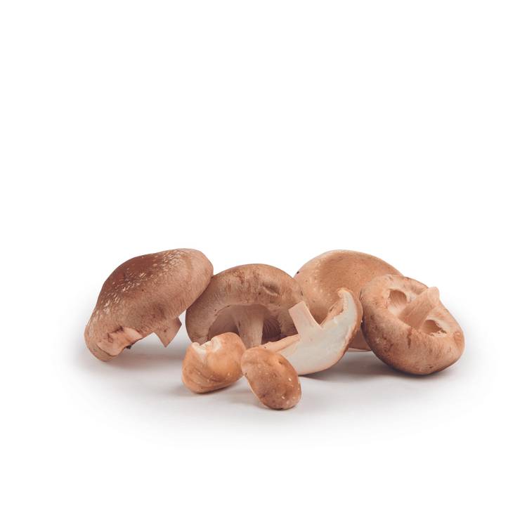découvrez les bienfaits du café shiitake, une boisson innovante qui allie le goût riche du café aux propriétés médicinales des champignons shiitake. améliorez votre santé avec ses vertus antioxydantes, son impact positif sur le système immunitaire et son effet revitalisant. explorez cette alternative saine et savoureuse dès aujourd'hui!