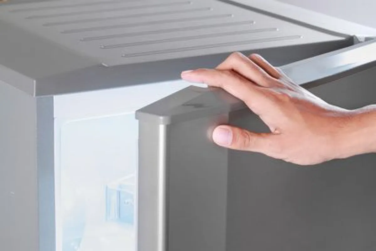 découvrez pourquoi le frigo circuit est un élément essentiel pour garantir la fraîcheur et la longévité de vos aliments. optimisez votre cuisine et améliorez vos habitudes alimentaires avec ce dispositif indispensable.