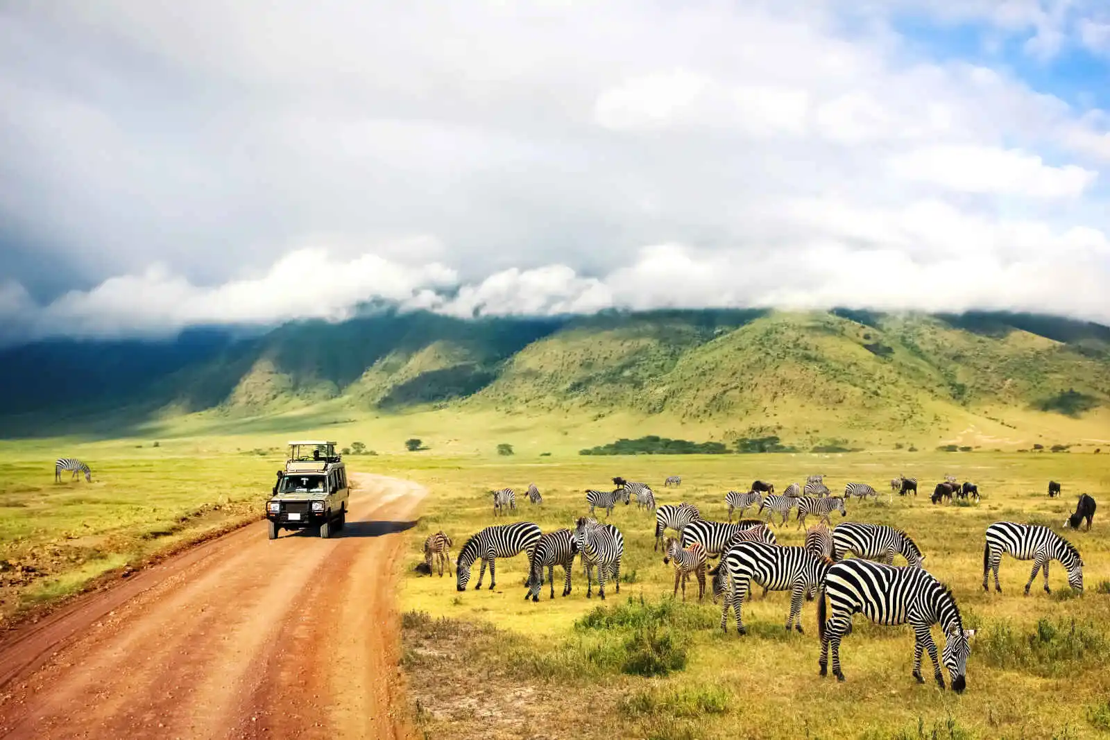 découvrez les plus beaux itinéraires en tanzanie, des paysages spectaculaires du parc national du serengeti aux plages idylliques de zanzibar. préparez votre aventure inoubliable au cœur de la faune sauvage et des cultures fascinantes.