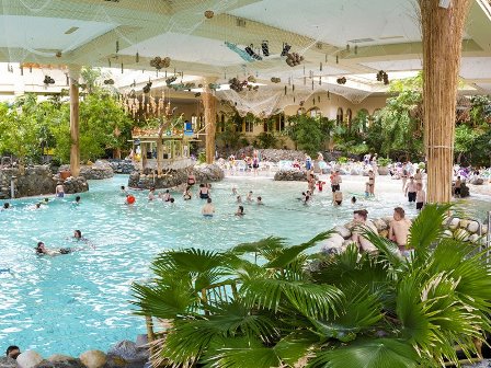 découvrez l'univers exceptionnel des centre parcs, où nature et détente s'harmonisent pour vous offrir des vacances inoubliables en famille ou entre amis. profitez d'activités variées, d'hébergements confortables et de spa relaxants au cœur de la nature.