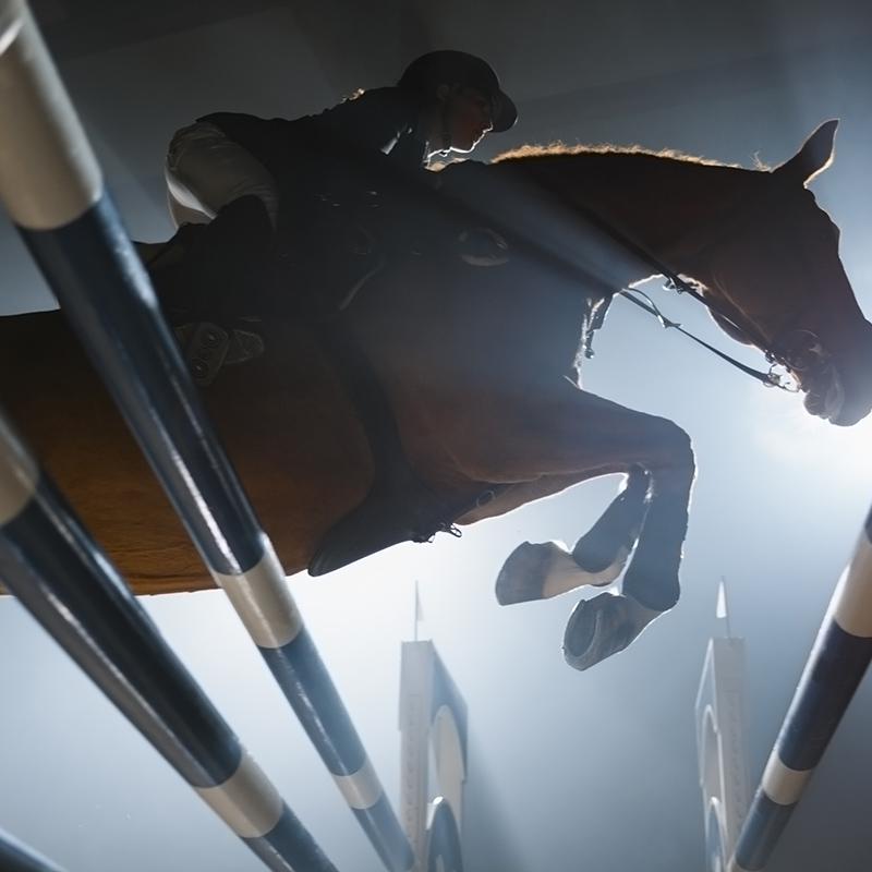 découvrez les principaux risques associés à l'assurance pour les vans de chevaux. protégez votre précieux véhicule et assurez le bien-être de vos chevaux en choisissant une couverture adaptée à vos besoins.