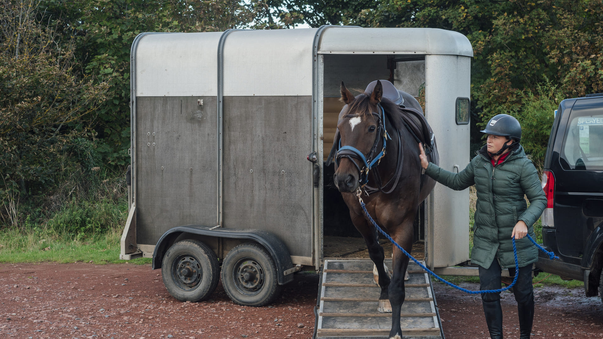découvrez nos tarifs compétitifs pour l'assurance cheval, adaptés à vos besoins et à ceux de votre monture. protégez votre cheval tout en maîtrisant vos coûts avec nos options personnalisées.