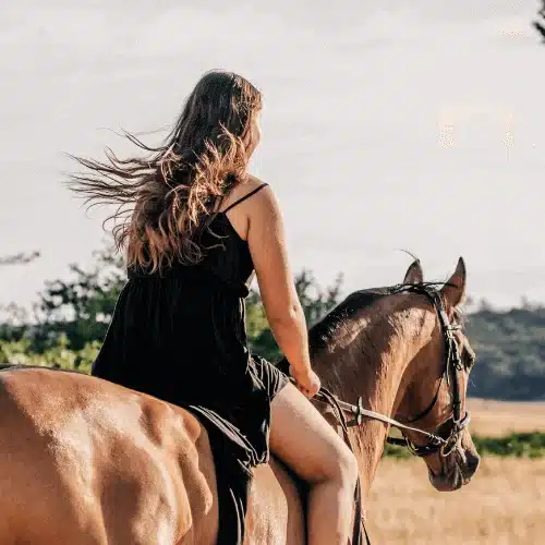 découvrez nos conseils pour choisir la meilleure assurance pour votre cheval, tout en maîtrisant les prix. protégez votre compagnon équin avec des options adaptées à vos besoins.