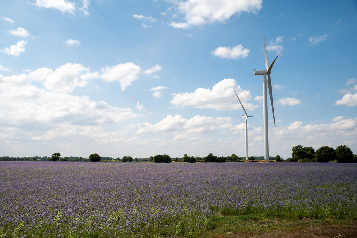 découvrez tout ce qu'il faut savoir sur le poids des éoliennes, des facteurs influençant leur construction à l'impact sur l'environnement. informez-vous sur les différentes tailles et types d'éoliennes utilisées dans le monde aujourd'hui.