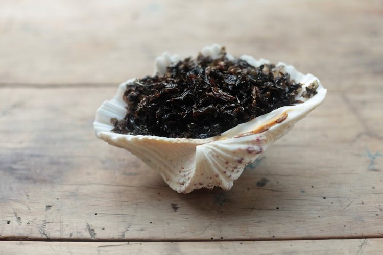 découvrez les plats populaires de nouvelle-zélande, une délicieuse fusion de saveurs locales et d'influences internationales. explorez notre sélection de mets emblématiques qui raviront vos papilles et vous plongeront au cœur de la culture néo-zélandaise.
