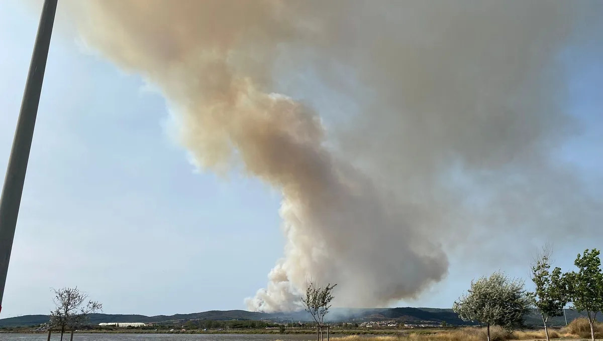 découvrez les dernières informations sur l'incendie d'un véhicule à montpellier. zoom sur les causes, réactions des témoins et interventions des pompiers.