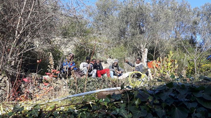 découvrez les récits inspirants des migrants sur tiktok et comment la maison blanche réagit face à ces témoignages émouvants. plongez dans l'actualité et l'impact des réseaux sociaux sur la perception des migrations aux états-unis.
