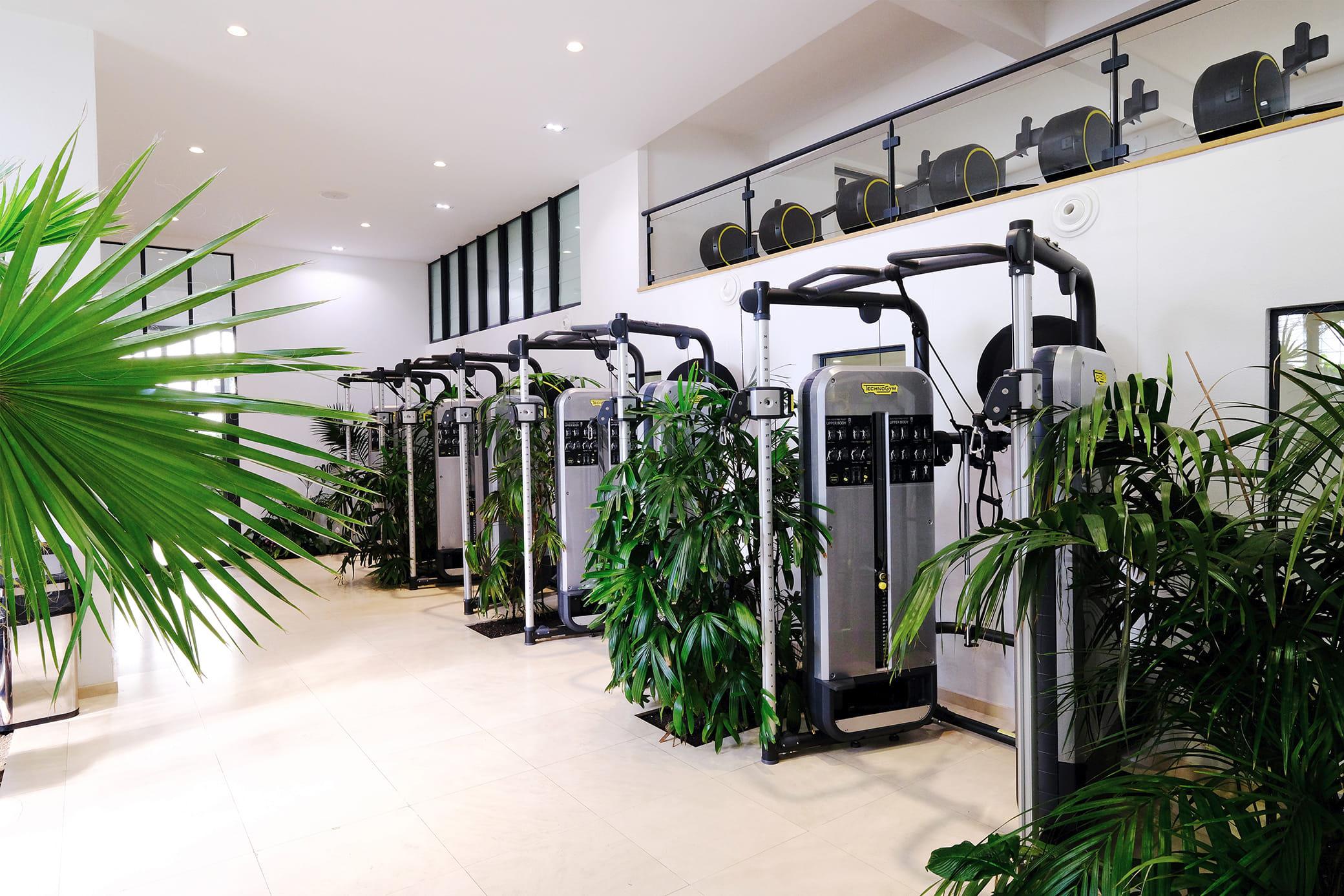 découvrez les nouvelles salles de sport à paris : équipements modernes, cours variés et ambiance dynamique pour tous les niveaux. trouvez l’endroit idéal pour atteindre vos objectifs fitness dans la capitale.