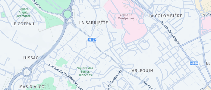 découvrez la chirurgie vétérinaire de qualité pour vos clapiers avec le dr candon à montpellier. soins personnalisés, expertise et accompagnement pour le bien-être de vos animaux.