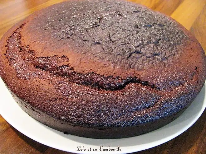 découvrez notre recette de gâteau savoisien au chocolat léger : une douceur aérienne, moelleuse et gourmande, parfaite pour vos envies sucrées sans culpabilité !
