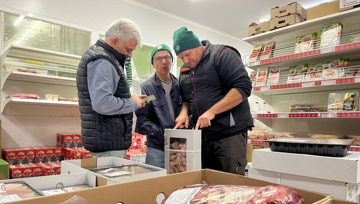 découvrez le panturon landais, un vêtement traditionnel emblématique du sud-ouest de la france, apprécié pour son confort et son histoire riche. parfait pour allier authenticité et style régional.