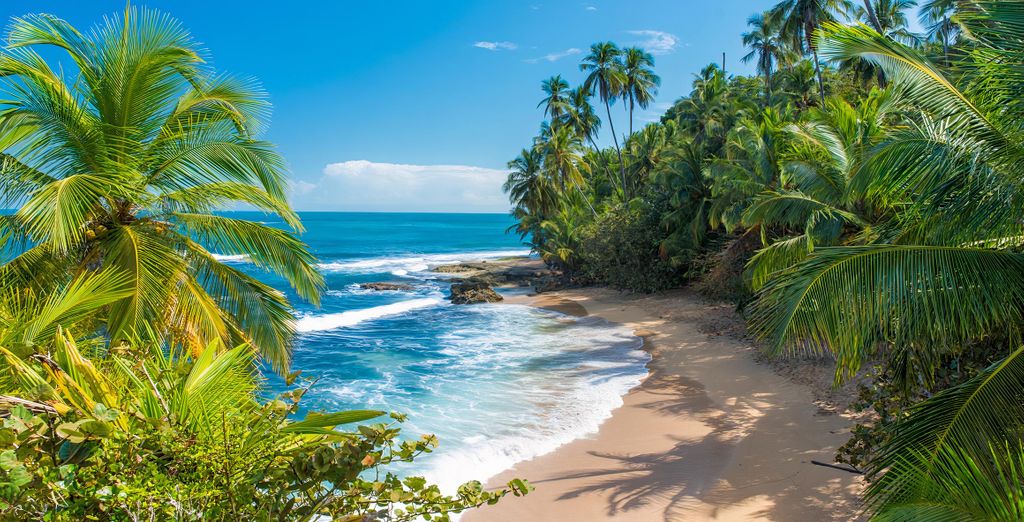 découvrez les meilleurs hôtels au costa rica : hébergements de luxe, éco-lodges, hôtels en bord de mer et offres exclusives pour un séjour inoubliable au cœur de la nature.