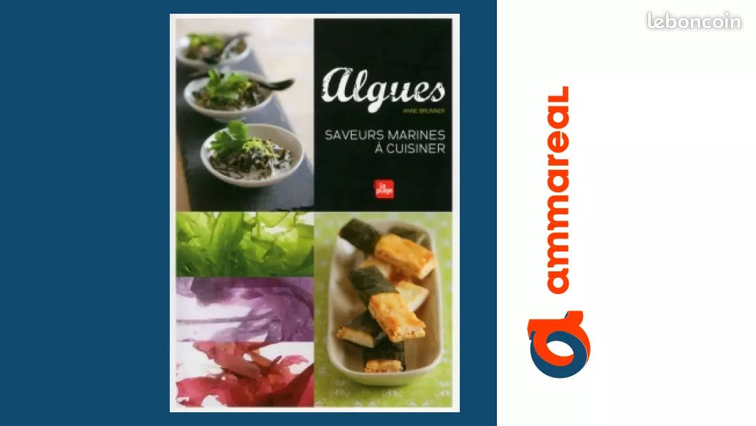 découvrez un univers de saveurs marines : poissons frais, fruits de mer savoureux et recettes inspirées par l’océan, pour des repas sains et gourmands.