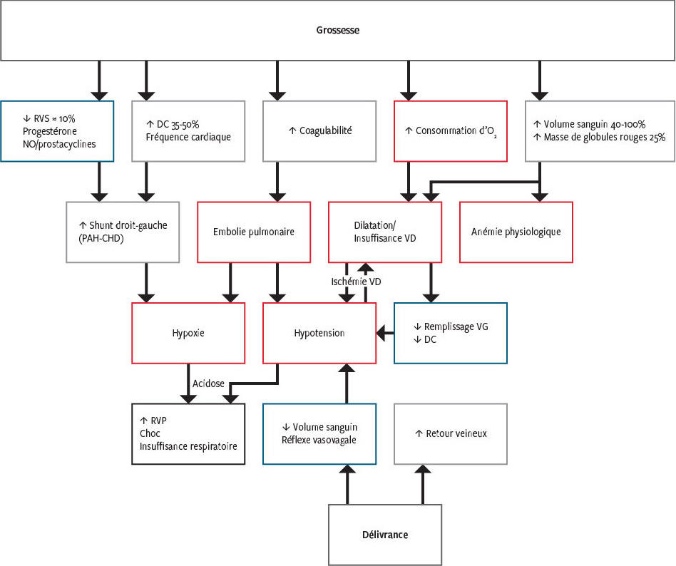 découvrez les contributions de marc humbert dans la lutte contre l'hypertension pulmonaire, un expert reconnu pour ses recherches et traitements innovants.