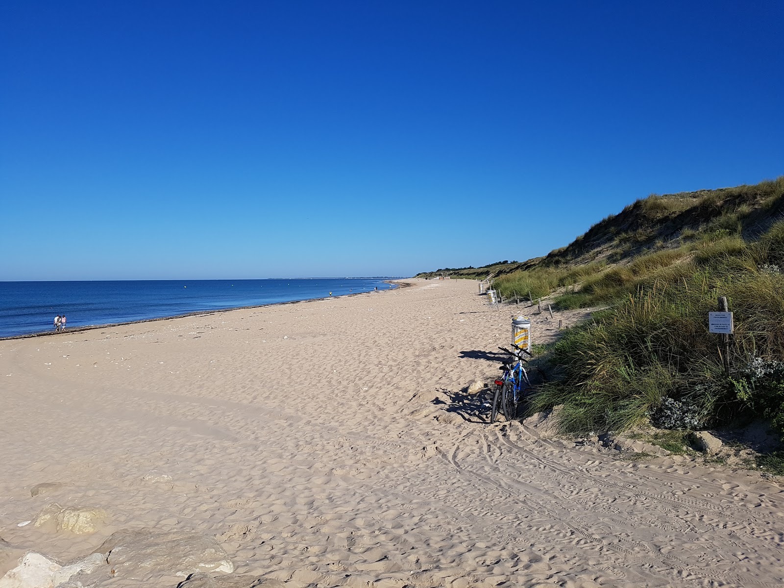 découvrez le top 5 des plages incontournables de l'île de ré pour des vacances entre sable fin, eaux turquoise et paysages préservés.