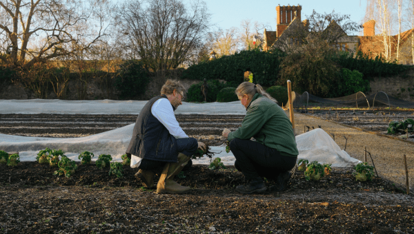 découvrez arnaud donckele, chef renommé du manoir aux quat'saisons, célèbre pour sa cuisine inventive et raffinée alliant tradition et modernité.