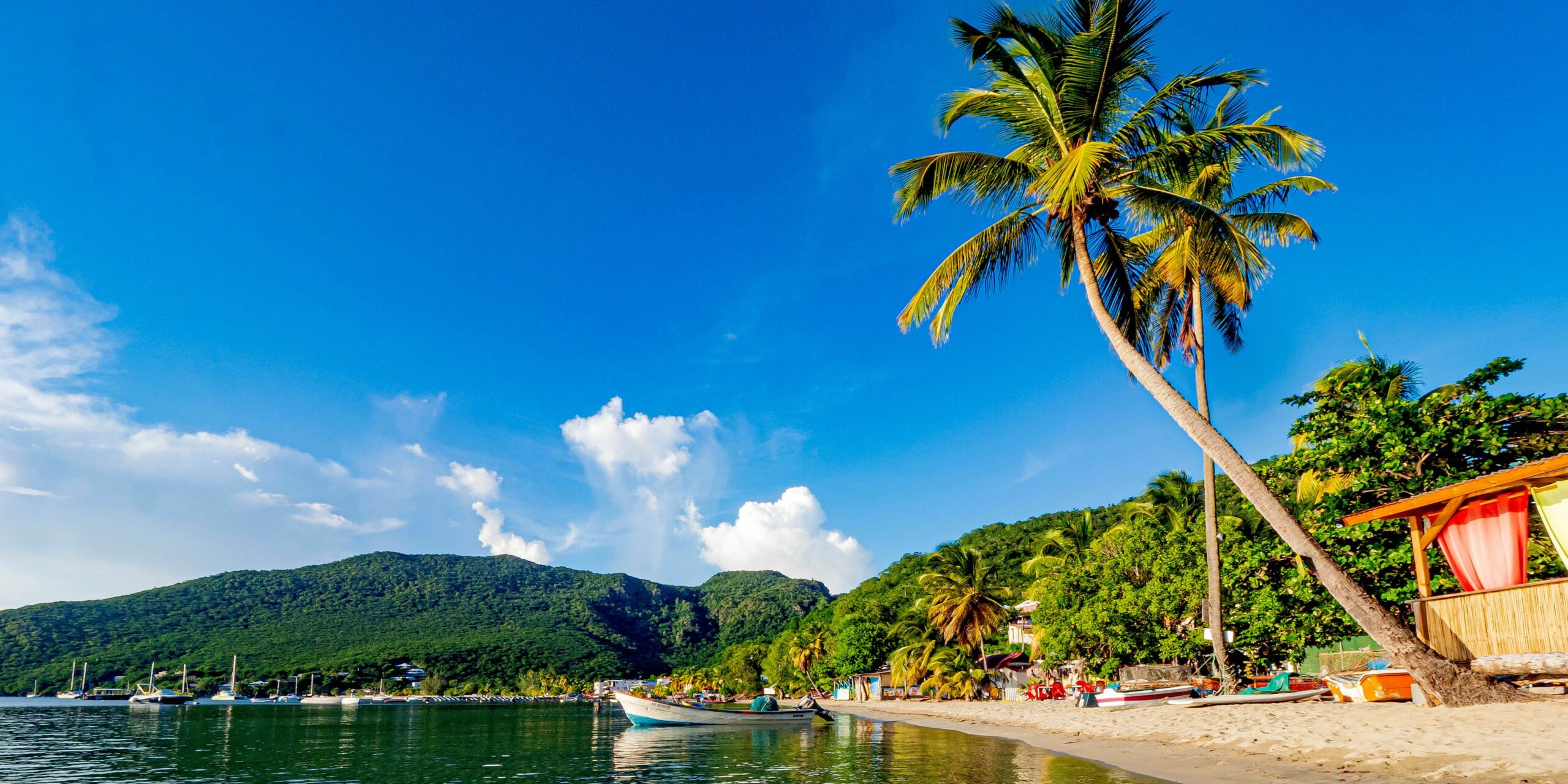 découvrez les différences entre la guadeloupe et la martinique pour choisir l'île idéale pour vos vacances : plages, culture, activités et ambiance au rendez-vous.