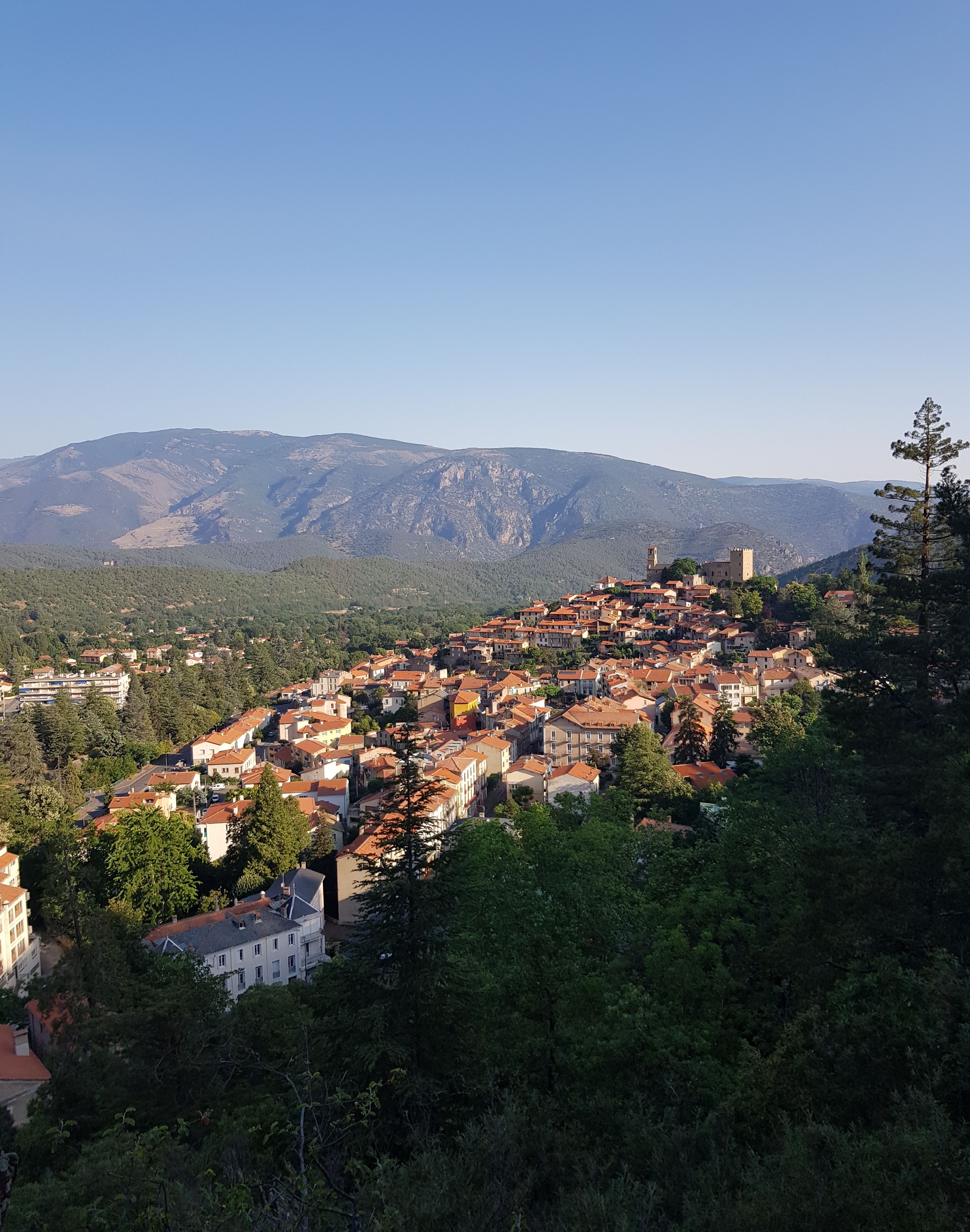 découvrez le top 5 des randonnées accessibles au canigou, idéales pour tous les niveaux, offrant des paysages magnifiques et une nature préservée.