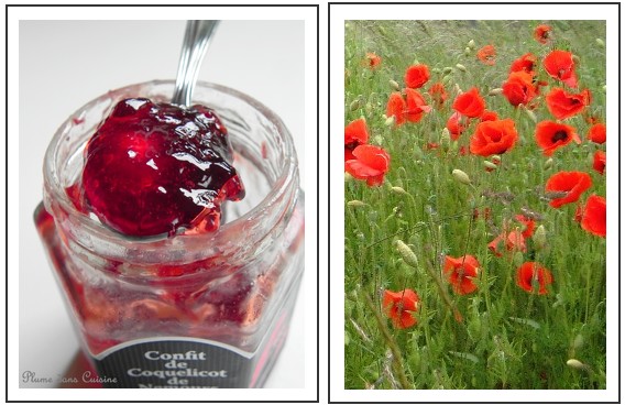 découvrez notre recette facile et gourmande de gelée de coquelicot maison, idéale pour apporter une touche florale et délicate à vos petits-déjeuners et desserts.